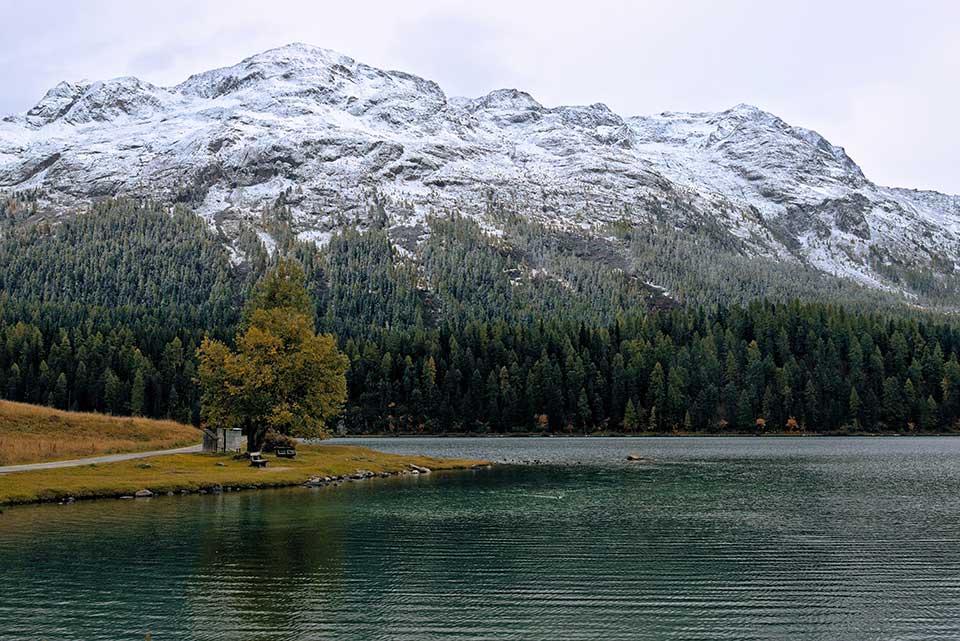 Lago