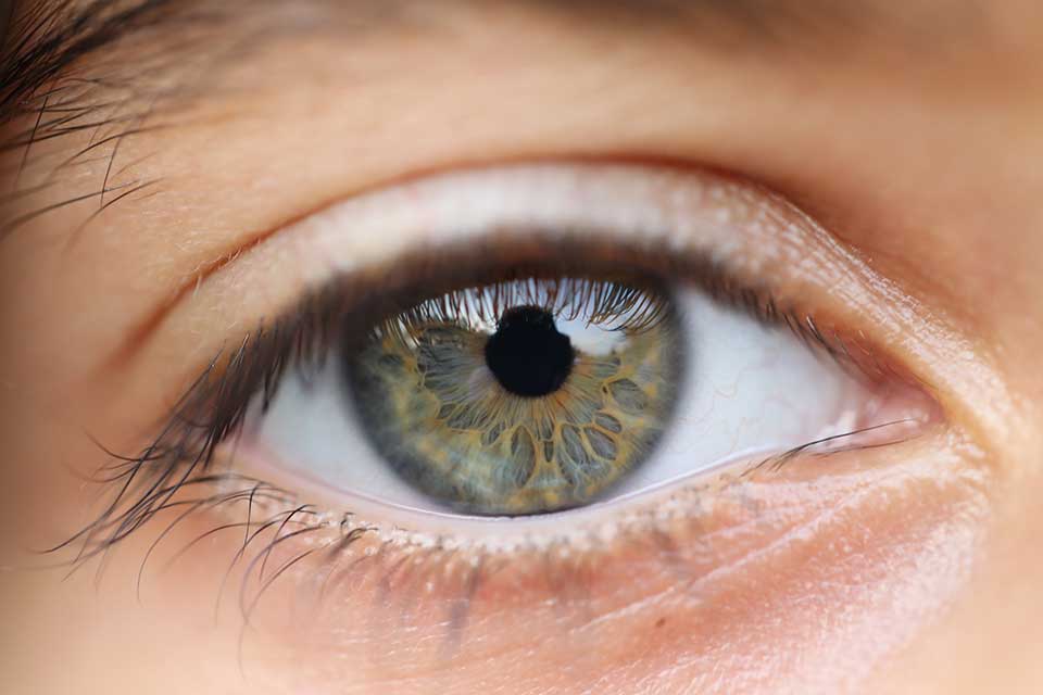 Ojo de cerca