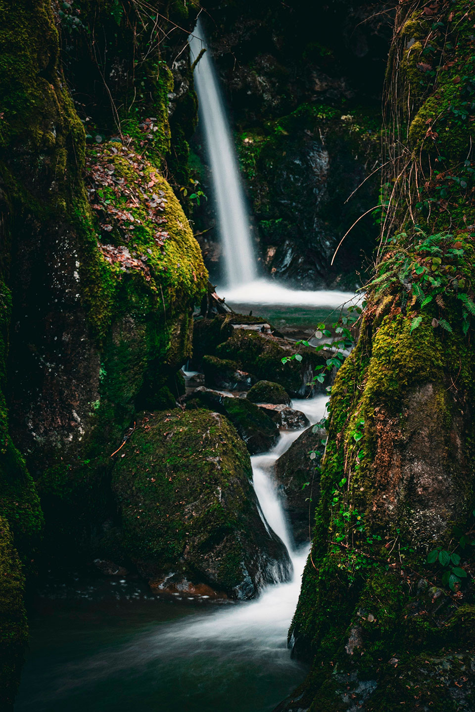 Stream